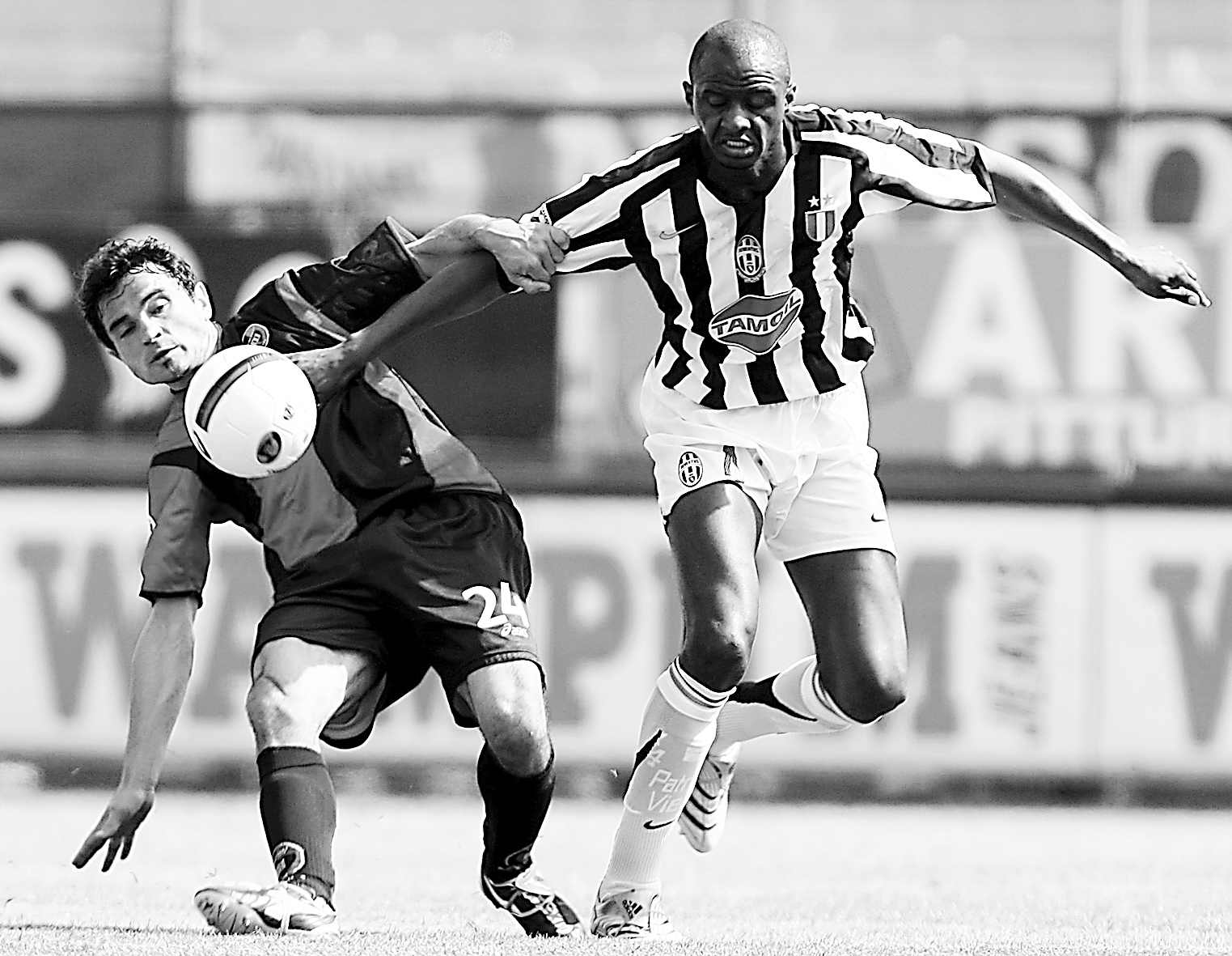 展现了顽强 展现了顽强